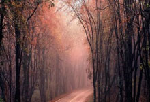 Rocket Launch Today: What's Launching, When, and the Incredible Vision Taking Us to the Stars