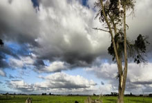 Carney's G20 Jab at US: What 'Global Economy Is Shifting' *Really* Means