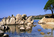 Carney's G20 Jab at US: What 'Global Economy Is Shifting' *Really* Means